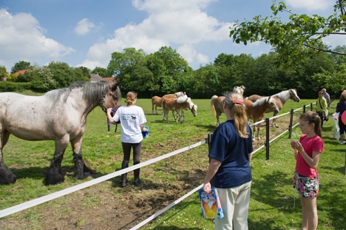 Excursie Paardenmelkerij de Lage Wierde